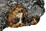 Fluorescent Zircon Crystals in Biotite Schist - Norway #175867-2